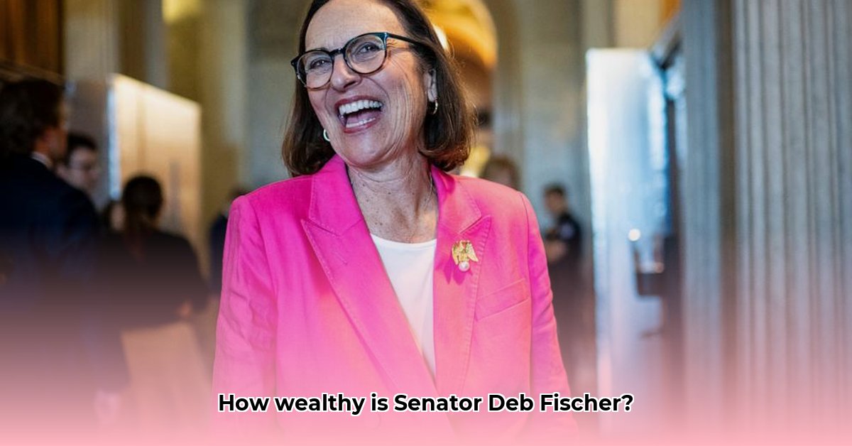 deb-fischer-net-worth
